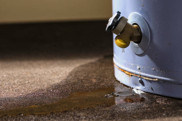 Best Flood restoration services  in Rochester, PA