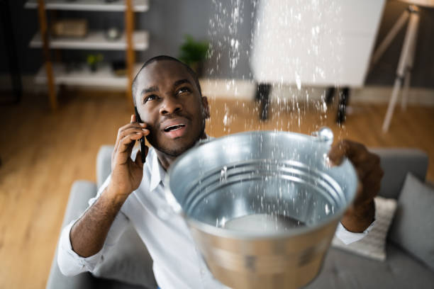 Best Residential water damage restoration  in Rochester, PA