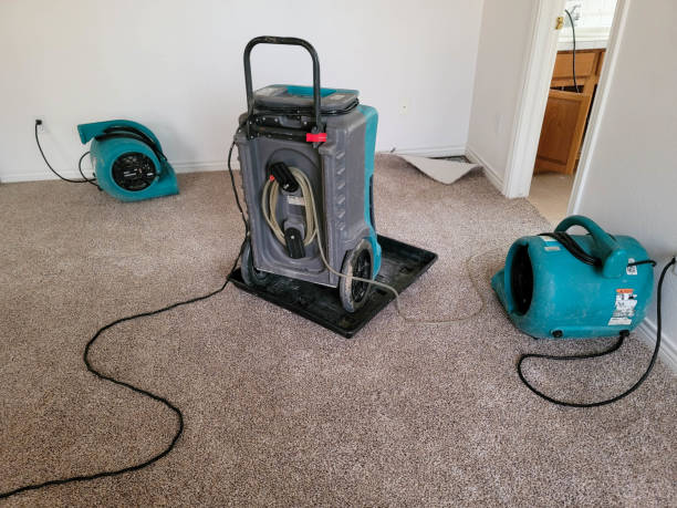 Best Mold removal after water damage  in Rochester, PA