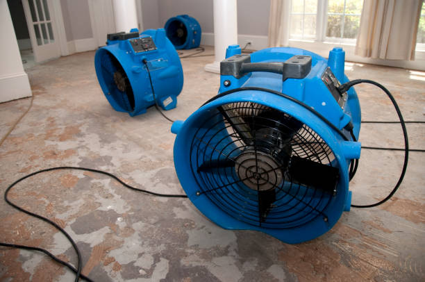 Best Commercial water damage restoration  in Rochester, PA