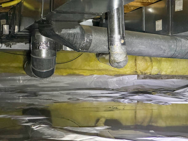Best Sewage cleanup and water damage restoration  in Rochester, PA