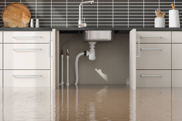 Best Ceiling water damage repair  in Rochester, PA