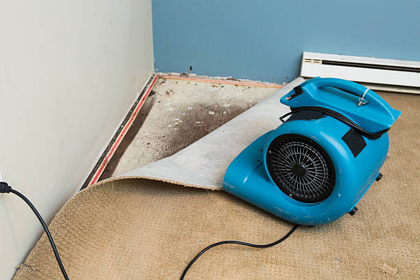 Best Water damage restoration near me  in Rochester, PA